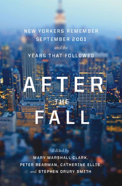 Cover of the book After the Fall by , The New Press