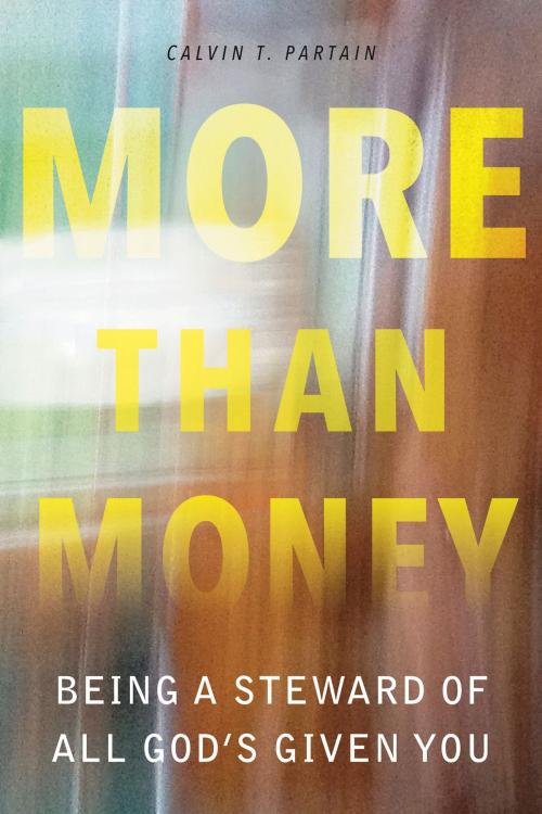 Cover of the book More than Money by Calvin T. Partain, New Hope Publishers
