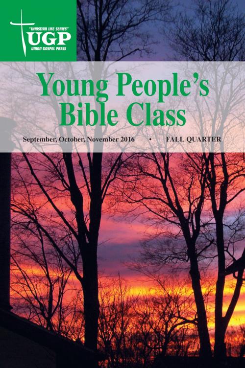 Cover of the book Young People’s Bible Class by Union Gospel Press, Union Gospel Press