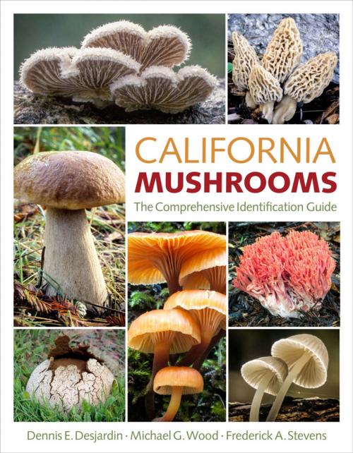 Cover of the book California Mushrooms by Dennis E. Desjardin, Michael G. Wood, Frederick A. Stevens, Timber Press