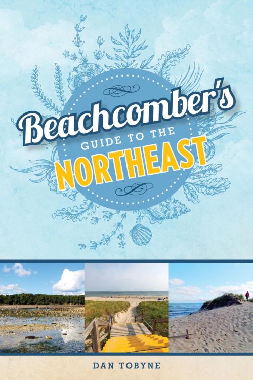 Cover of the book Beachcomber's Guide to the Northeast by Dan Tobyne, Down East Books