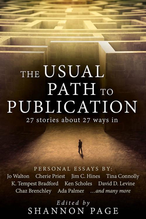 Cover of the book The Usual Path to Publication by Shannon Page, Book View Cafe