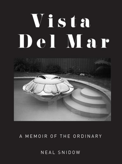 Cover of the book Vista Del Mar by Neal Snidow, Counterpoint