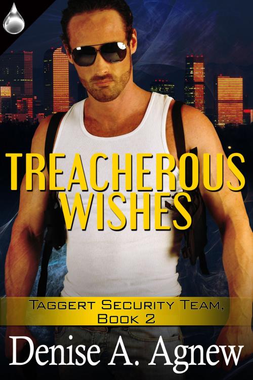 Cover of the book Treacherous Wishes by Denise A. Agnew, Liquid Silver Books