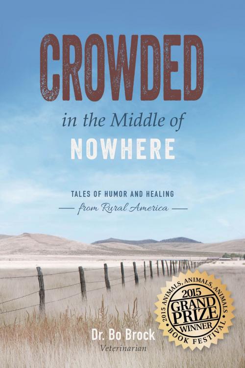 Cover of the book Crowded in the Middle of Nowhere by Dr. Bo Brock, Greenleaf Book Group Press