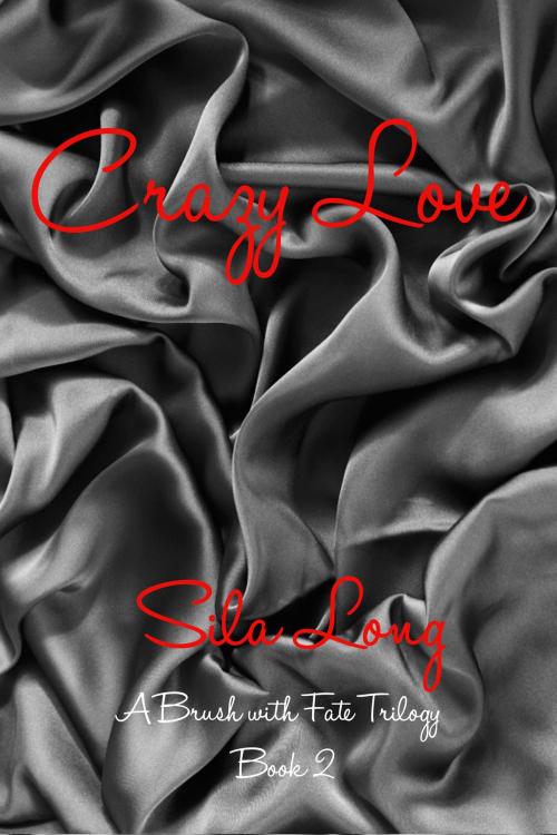 Cover of the book Crazy Love by Sila Long, Black Opal Books