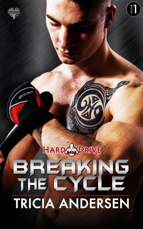 Cover of the book Breaking the Cycle by Tricia Andersen, Hartwood Publishing