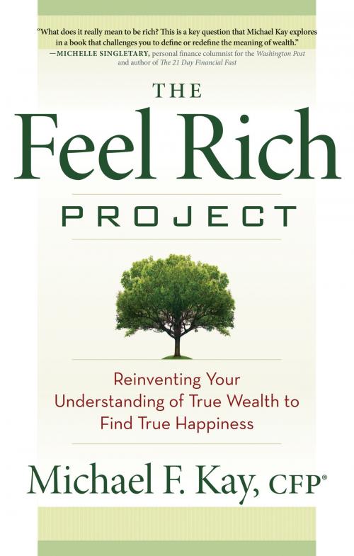 Cover of the book The Feel Rich Project by Michael F. Kay, Red Wheel Weiser