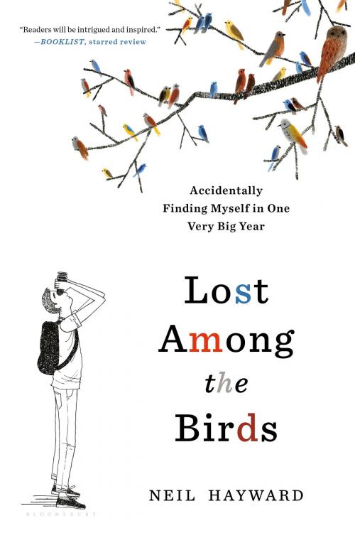 Cover of the book Lost Among the Birds by Neil Hayward, Bloomsbury Publishing