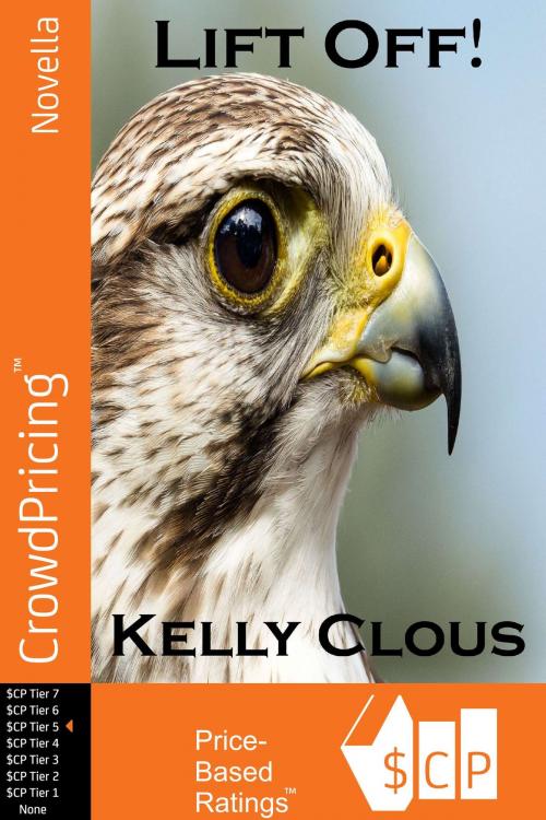 Cover of the book Lift Off !: Falcon Edition, Book One of the Fire and Flight Series by Kelly Clous, Scribl