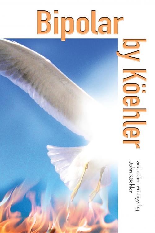 Cover of the book Bipolar by Koehler by John L. Koehler, Koehler Books