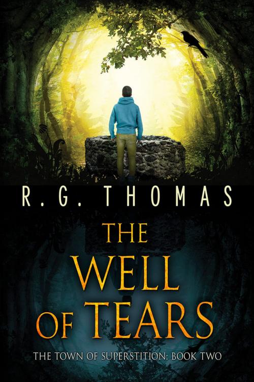 Cover of the book The Well of Tears by R. G. Thomas, Dreamspinner Press