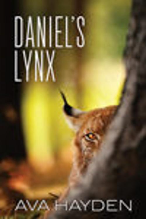 Cover of the book Daniel's Lynx by Ava Hayden, Dreamspinner Press
