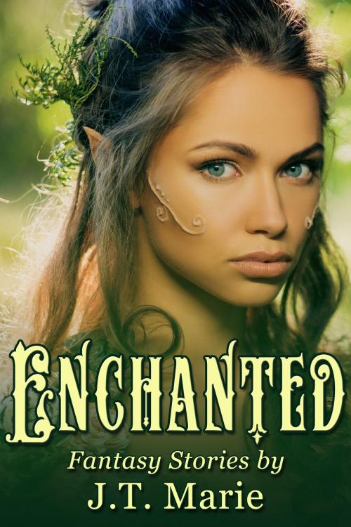 Cover of the book Enchanted Box Set by J.T. Marie, JMS Books LLC