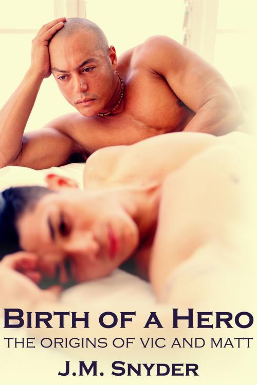 Cover of the book Birth of a Hero Box Set by J.M. Snyder, JMS Books LLC