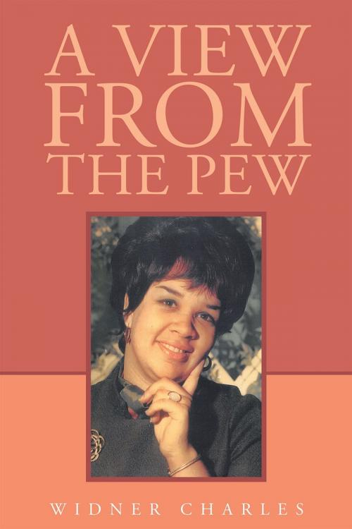 Cover of the book A View from the Pew by Widner Charles, Page Publishing, Inc.