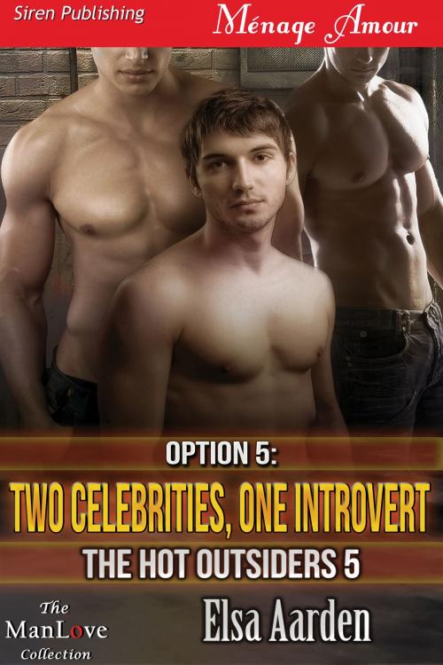 Cover of the book Option 5: Two Celebrities, One Introvert by Elsa Aarden, Siren-BookStrand