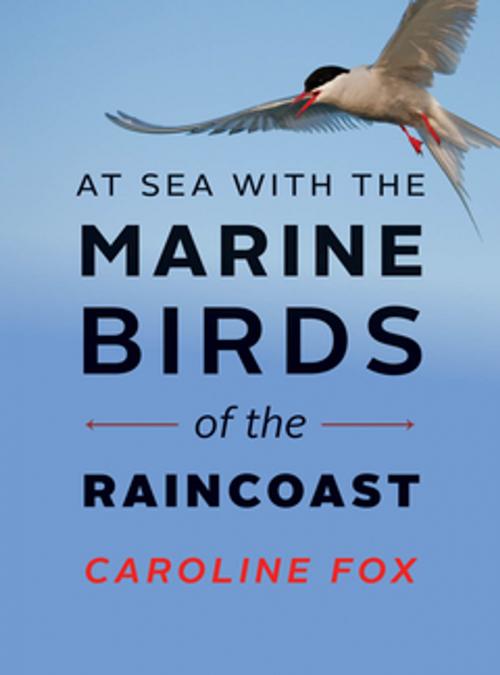 Cover of the book At Sea with the Marine Birds of the Raincoast by Caroline Fox, RMB | Rocky Mountain Books