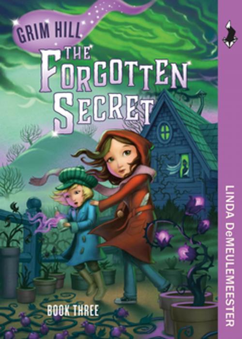 Cover of the book The Forgotten Secret by Linda Demeulemeester, Heritage House