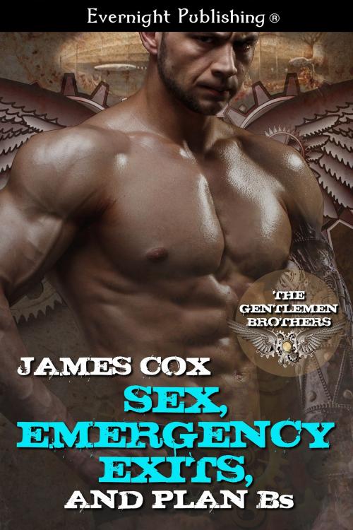 Cover of the book Sex, Emergency Exits, and Plan Bs by James Cox, Evernight Publishing
