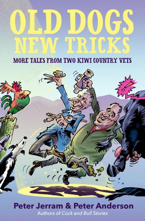 Cover of the book Old Dogs New Tricks by Peter Anderson, Peter Jerram, Penguin Random House New Zealand