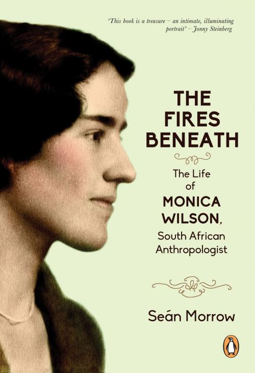 Cover of the book The Fires Beneath by Seán Morrow, Penguin Random House South Africa