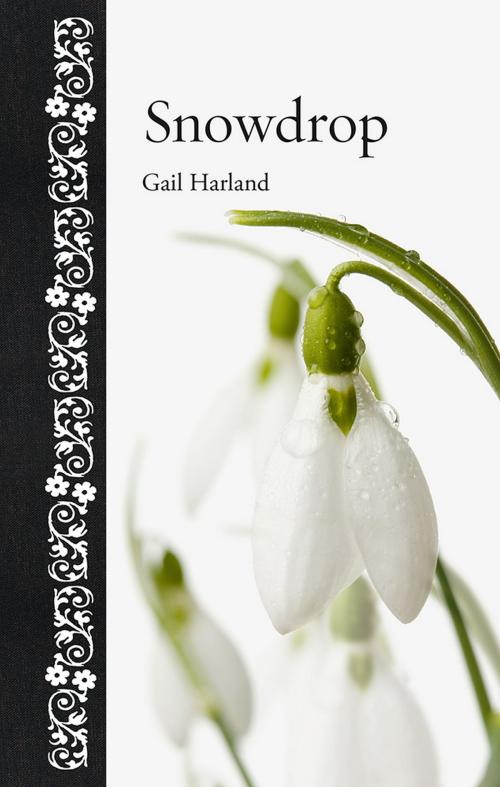 Cover of the book Snowdrop by Gail Harland, Reaktion Books