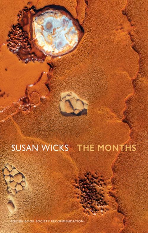 Cover of the book The Months by Susan Wicks, Bloodaxe Books