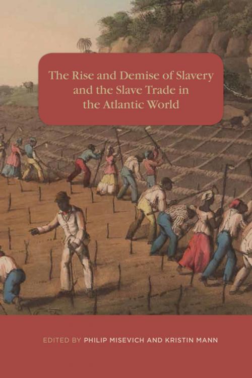 Cover of the book The Rise and Demise of Slavery and the Slave Trade in the Atlantic World by , Boydell & Brewer