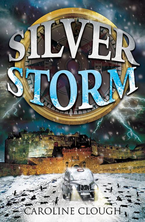 Cover of the book Silver Storm by Caroline Clough, Floris Books