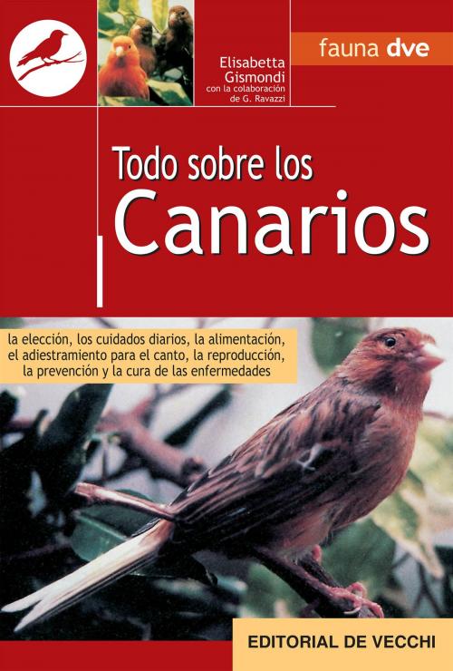 Cover of the book Todo sobre canarios by Elisabetta Gismondi, De Vecchi