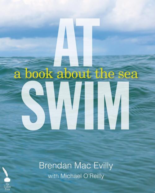 Cover of the book At Swim: A Book About the Sea by Brendan Mac Evilly, The Collins Press