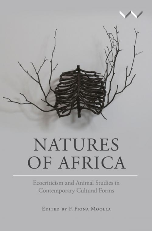 Cover of the book Natures of Africa by Byron Caminero-Santangelo, Sule Emmanuel Egya, Jonathon Bishop Highfield, Wits University Press
