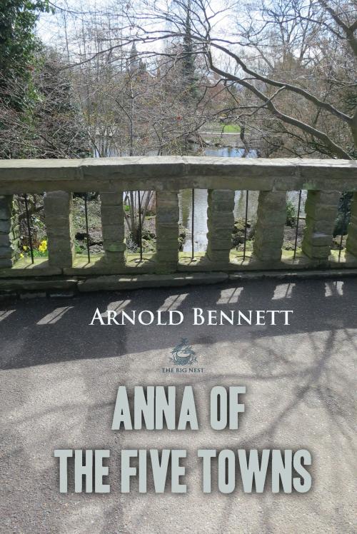 Cover of the book Anna of the Five Towns by Arnold Bennett, Interactive Media
