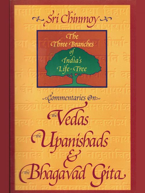 Cover of the book Commentaries on the Vedas, the Upanishads and the Bhagavad Gita by Sri Chinmoy, Sri Chinmoy
