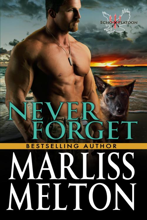 Cover of the book Never Forget by Marliss Melton, James-York Press