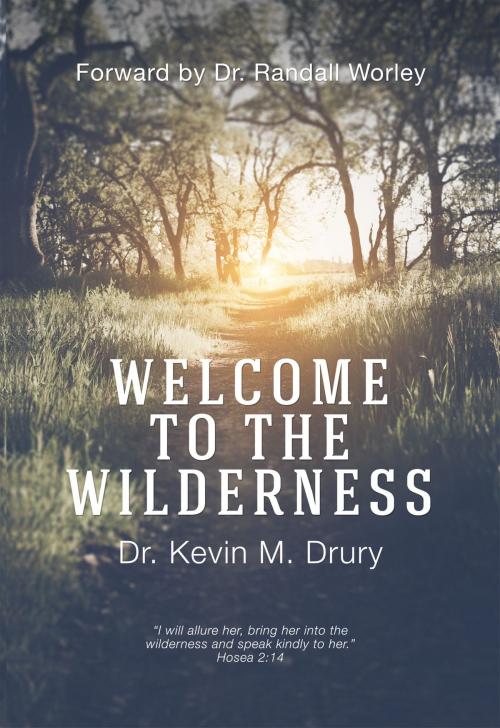 Cover of the book Welcome to the Wilderness by Kevin M. Drury, BookRally