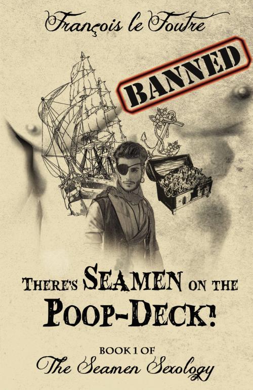 Cover of the book There's Seamen on the Poop-Deck!: A Gay Pirate Romance Adventure! by François le Foutre, François le Foutre