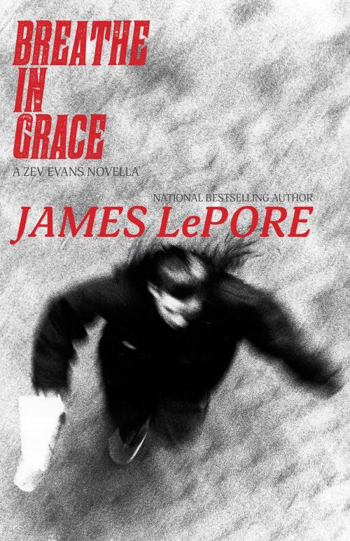 Cover of the book Breathe in Grace by James LePore, Fiction Studio Books