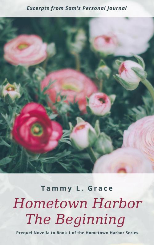 Cover of the book Hometown Harbor: The Beginning by Tammy L Grace, Lone Mountain Press