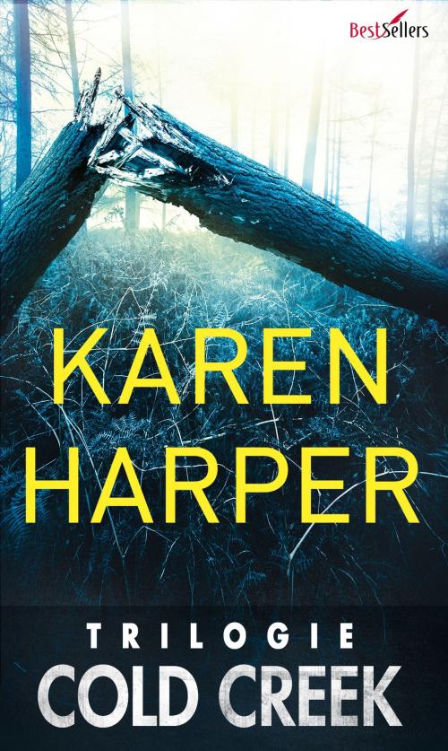 Cover of the book Série "Cold Creek" : l'intégrale by Karen Harper, Harlequin