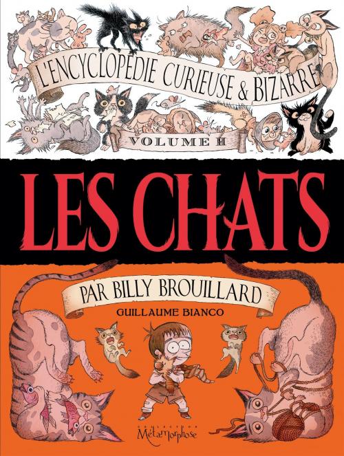 Cover of the book L'Encyclopédie curieuse & bizarre par Billy Brouillard - Volume 2 by Guillaume Bianco, Soleil