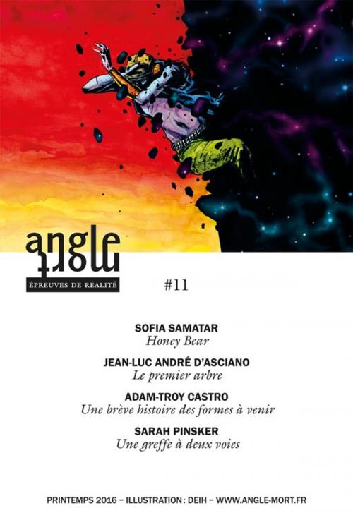 Cover of the book Angle Mort numéro 11 by Sarah Pinsker, Adam-Troy Castro, Jean-Luc André d'Asciano, Sofia Samatar, Angle Mort