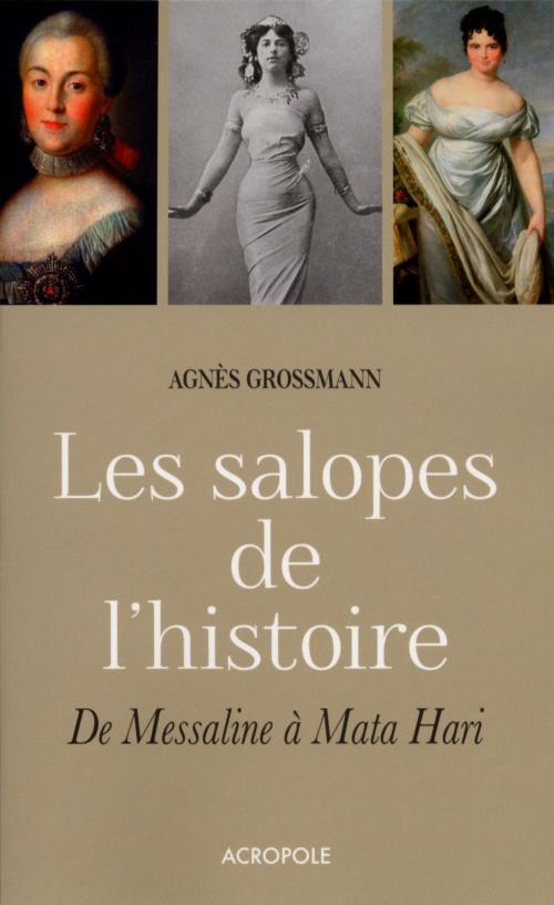 Cover of the book Les salopes de l'histoire by Agnès GROSSMANN, edi8