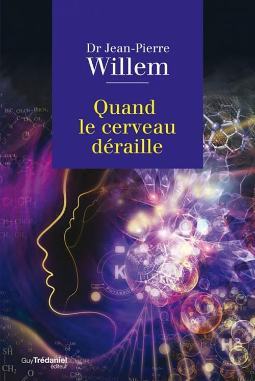 Cover of the book Quand le cerveau déraille by Docteur Jean-Pierre Willem, Guy Trédaniel