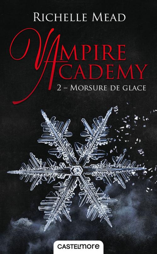 Cover of the book Morsure de glace by Richelle Mead, Castelmore