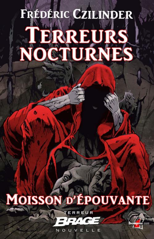 Cover of the book Terreurs nocturnes by Frédéric Czilinder, Bragelonne