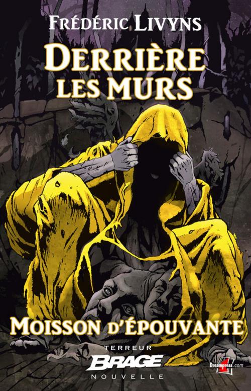Cover of the book Derrière les murs by Frédéric Livyns, Bragelonne