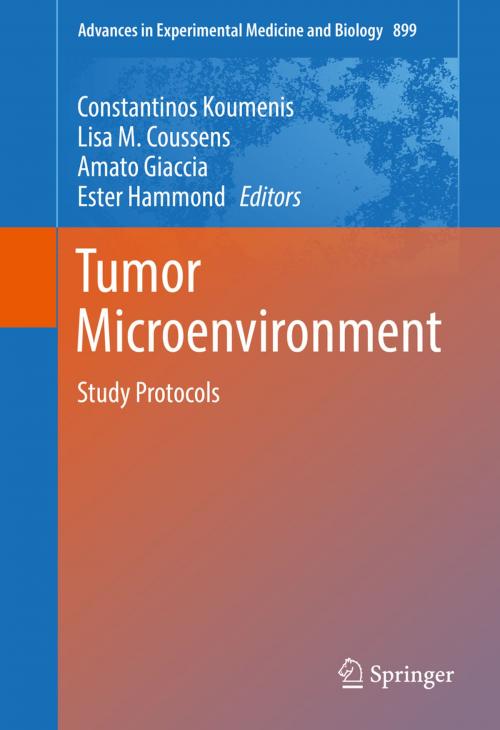 Cover of the book Tumor Microenvironment by , Springer International Publishing