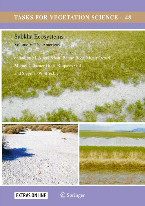 Cover of the book Sabkha Ecosystems by , Springer International Publishing